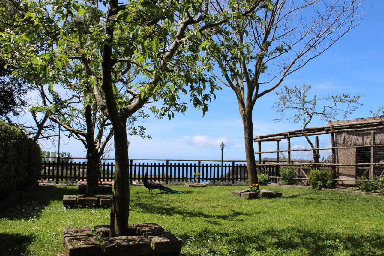 Agriturismo La Baita Agerola Luaran gambar