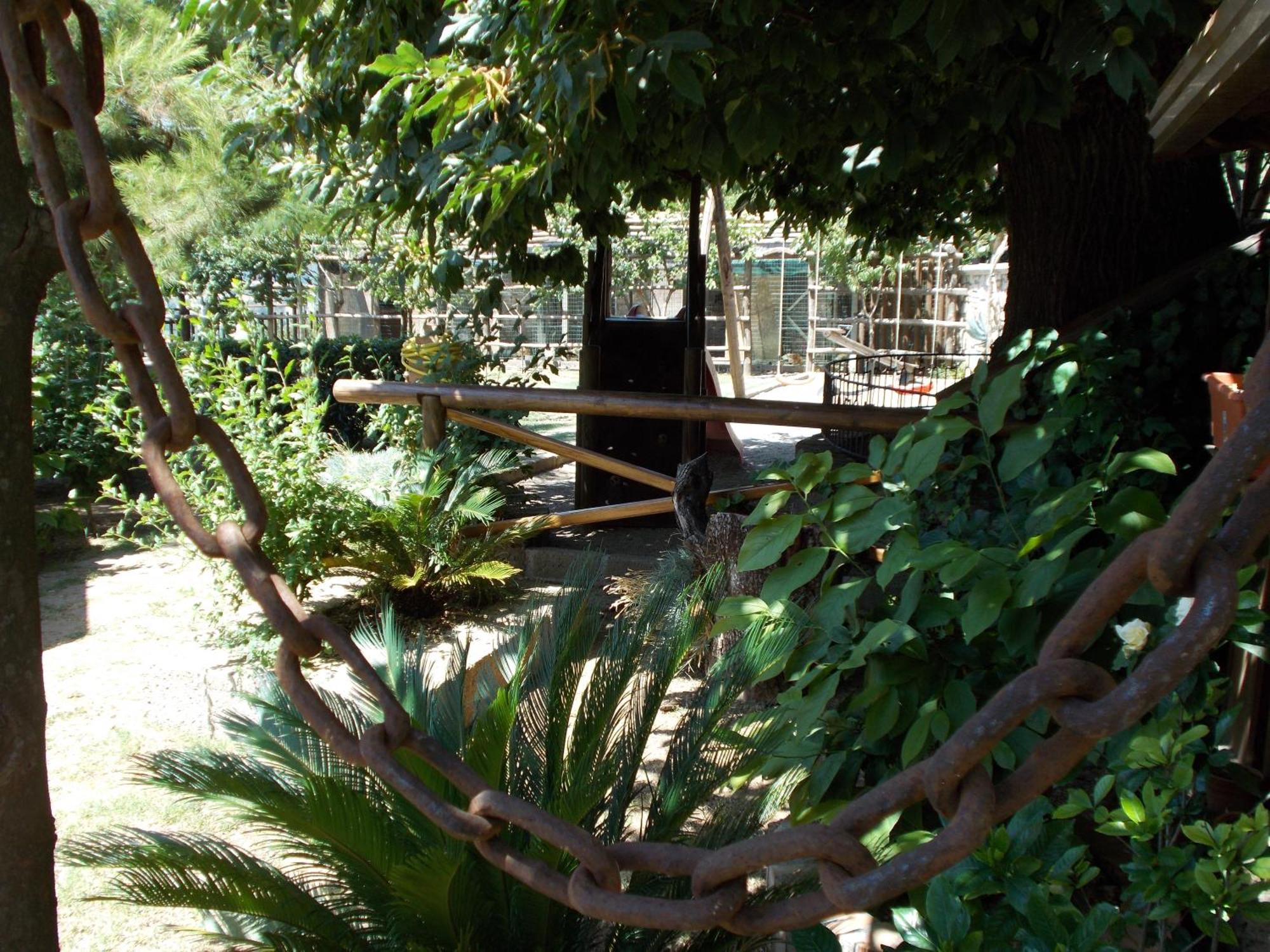 Agriturismo La Baita Agerola Luaran gambar